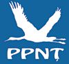 Electoral symbol of “Pentru Neam si Tara (For Nation and Country)” Party (PpNT)