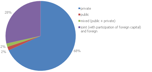 Figure 2. Structure of retail sales in commercial units with various forms of ownership in %, 2010