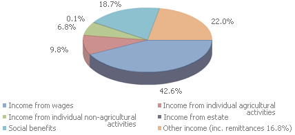 Structure of total disposable income in 2010